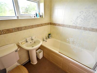 Picture 16